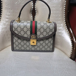 오피디아 GG 캔버스 핸드백