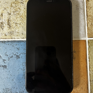 아이폰12 프로 맥스 256g (하자있음) 중고 공기기