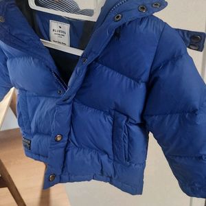 블루독 패딩 100