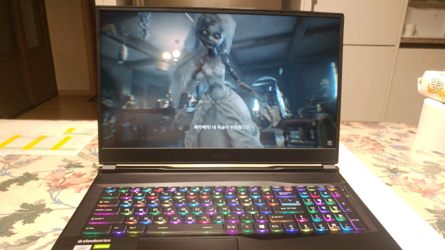 MSI 17.3인치 i7 게이밍 노트북/GTX1660Ti 이미지