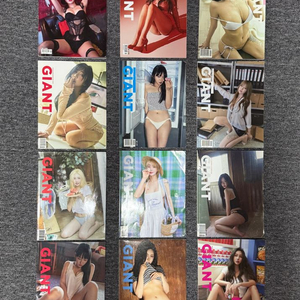 크레이지 자이언트 잡지 총 12권