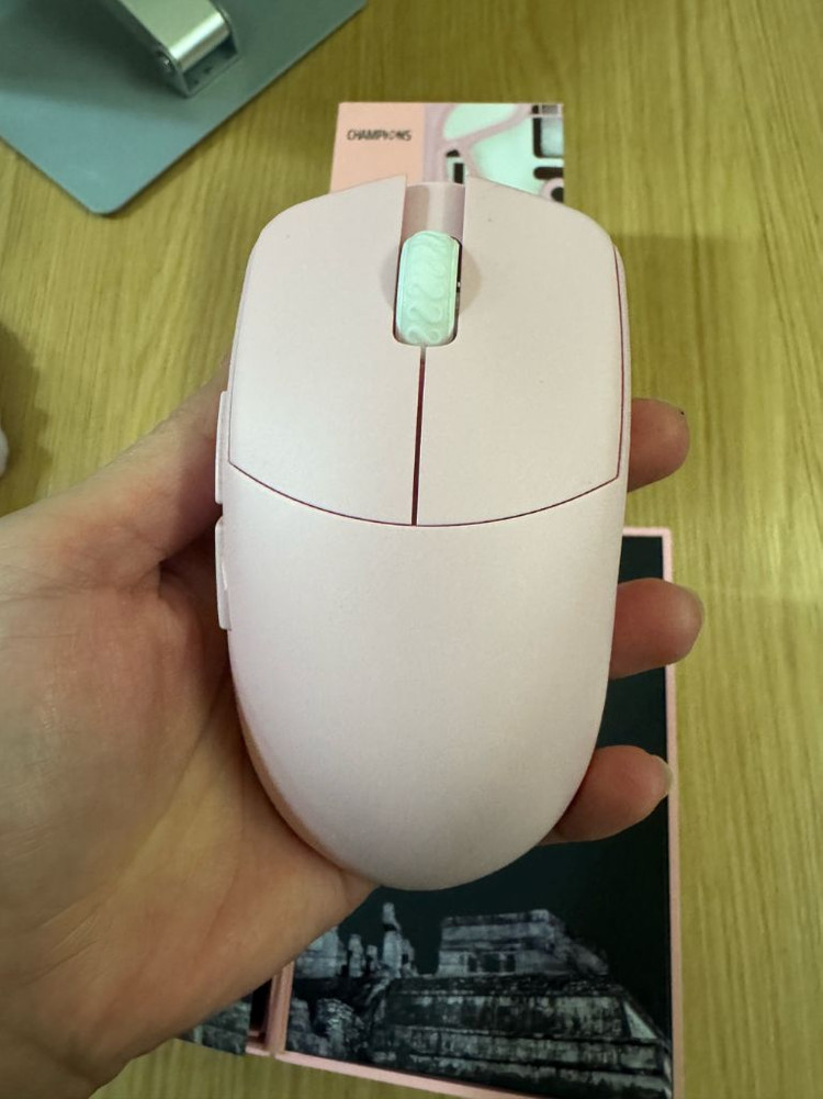 마야 챔피언 8K--3