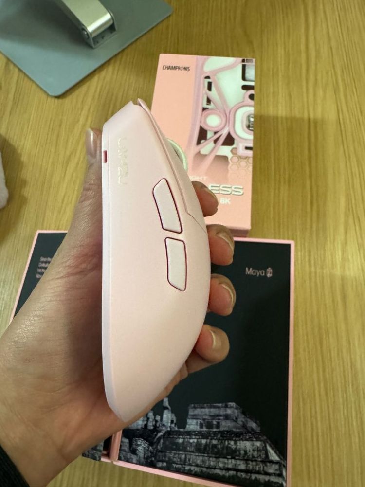 마야 챔피언 8K--6