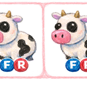 입양하세요 젖소 ㅍㅍ