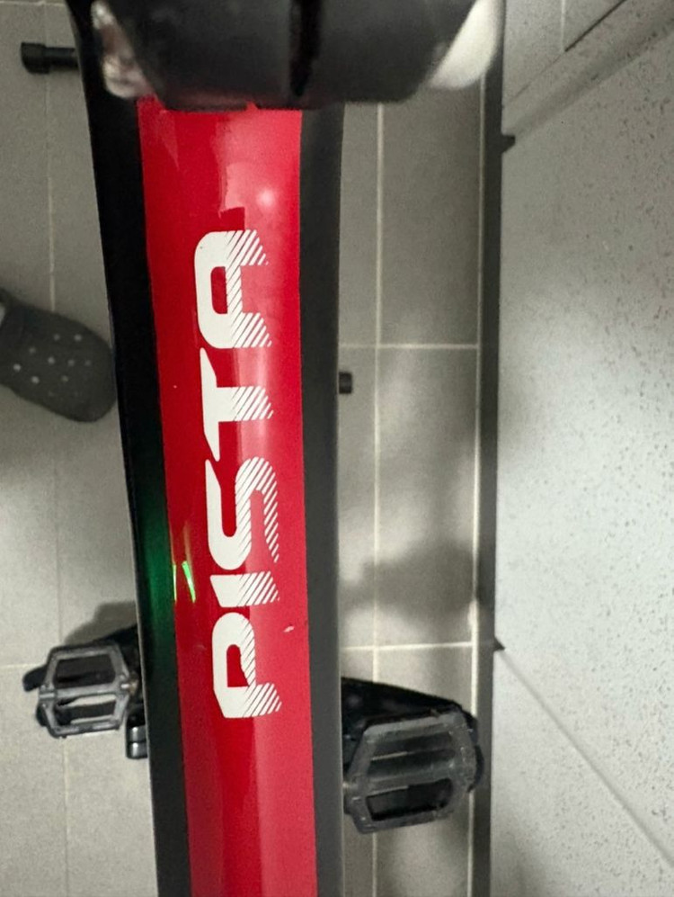 플래닛X PRO CARBOON 픽시 자전거--3