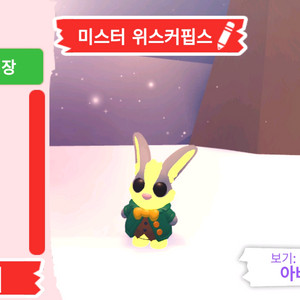 입양하세요 펫 메가네온 미스터 위스커핍스 판매합니다