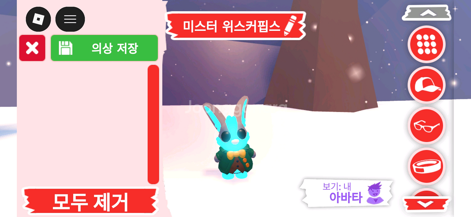 입양하세요 펫 메가네온 미스터 위스커핍스 판매합니다--1