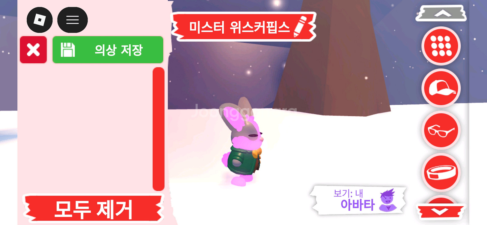 입양하세요 펫 메가네온 미스터 위스커핍스 판매합니다--2