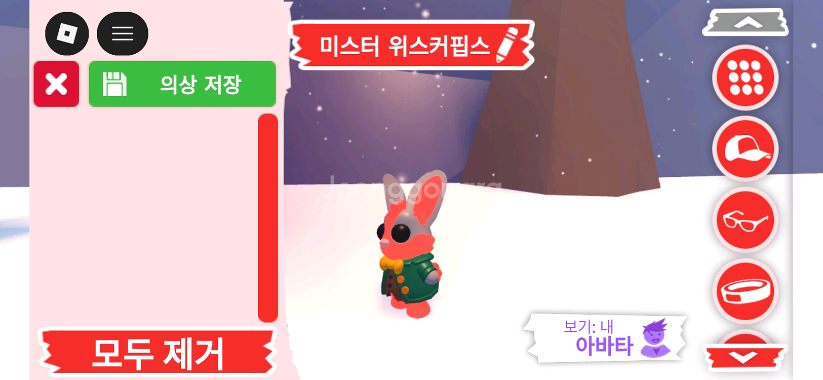 입양하세요 펫 메가네온 미스터 위스커핍스 판매합니다--3