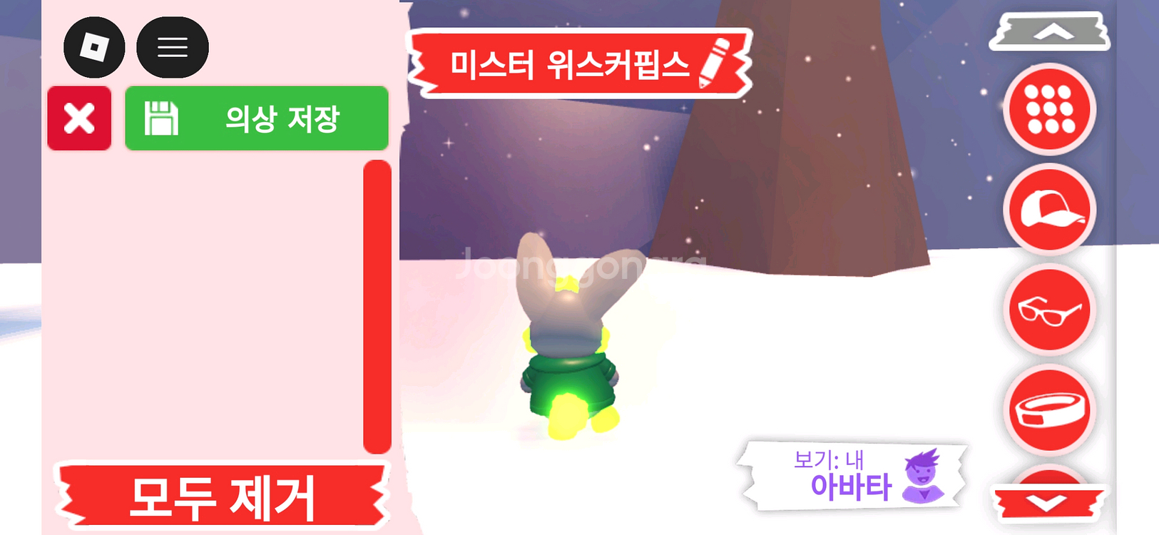 입양하세요 펫 메가네온 미스터 위스커핍스 판매합니다--4