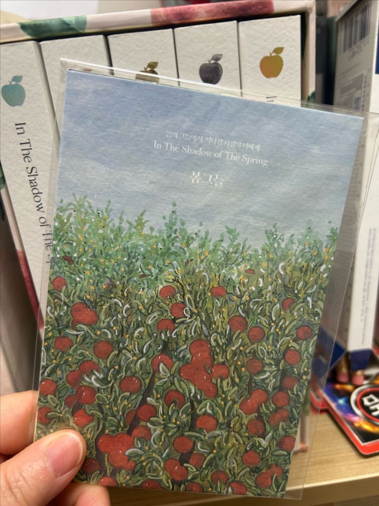 로맨스 소설 개인지(봄그늘은 덤)--2