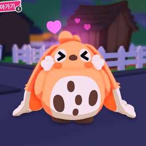 입양하세요 캐빗 팔아요! (재고 5)