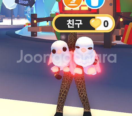 입양하세요 메가네온 멧비둘기 급처해요! (재고 2)--1