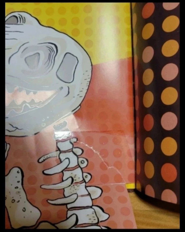 사파리 똑똑 모두누리 40권 + 사운드펜 + 그림책기차2종 이미지