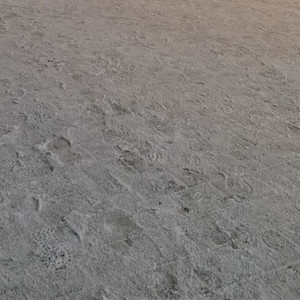 김영편입 김영패스 27년까징