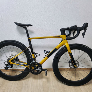 캐논데일 슈퍼식스에보 2019