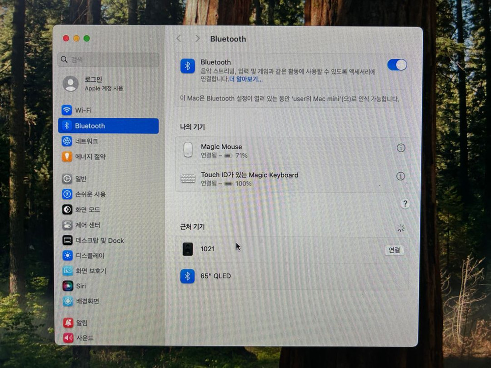 맥 미니(Mac mini) M1,2020,램 16g,ssd 512g 애플 매직 키보드 터치 애플 매직 마우스2--4