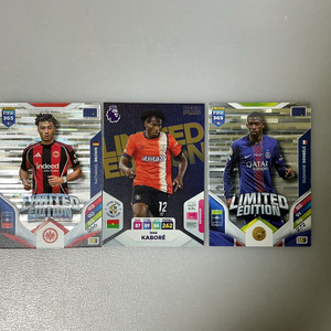 파니니 리미티드 에디션 팝니다