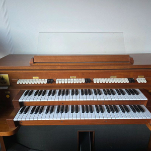 렉스톤 전자올겐