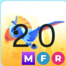 입양하세요 메가날타 디모르포돈 판매합니다!