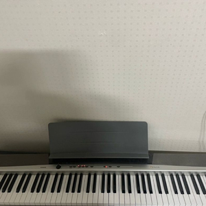 전자 피아노 카시오 px-120