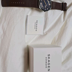 시계 스카겐 40mm