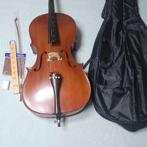 파가니니200 첼로 4/4 가격인하