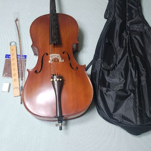 파가니니200 첼로 4/4 가격인하