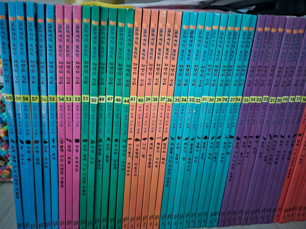 교원 자연의 신비 전집 58권--1