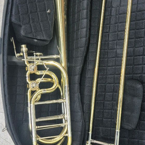 베이스트럼본 샤이어트럼본