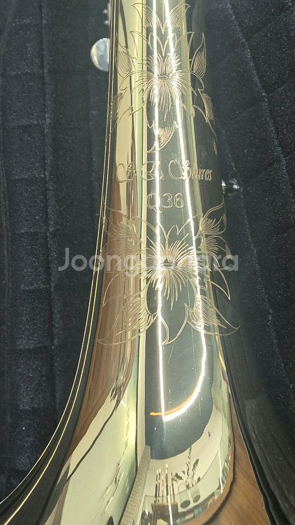 베이스트럼본 샤이어트럼본--4