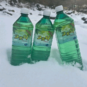 지리산 고로쇠 다래나무수액 노각나무수액 채취판매!