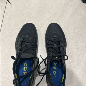 아디다스 코파 최상급 축구화 280