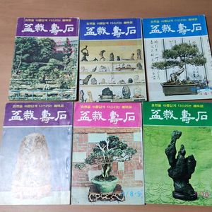 분재수석 73~74년 6권 일괄