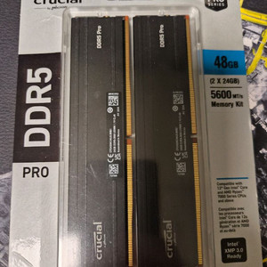 crucial DDR5 메모리 48GB