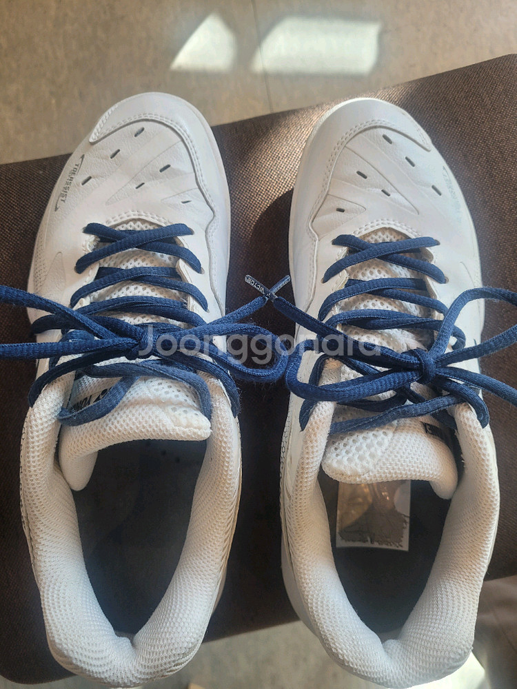 배드민턴화 65Z 245사이즈--1