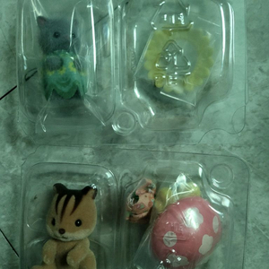 실바니안 숲의요정 다람쥐, 시크릿 고양이 아기 일괄 판매