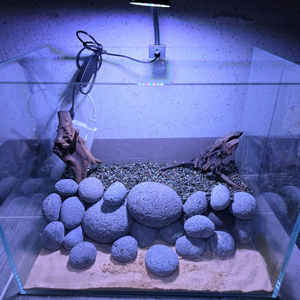 에그스톤 어항. 여과기 포함