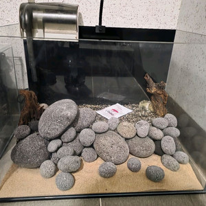 에그스톤 45 자반 어항