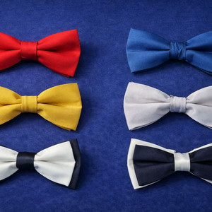 보타이 실크 100% 나비넥타이