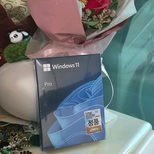 미개봉 윈도우 11 프로/PRO FPP (대원cts)
