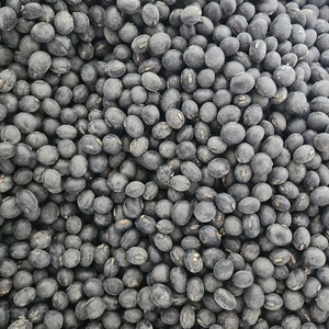 새바람 서리태 콩