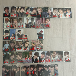 보넥도 보이넥스트도어 포카 양도 성호리우재현태산이한운학 이미지