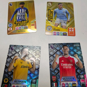 파니니 축구카드