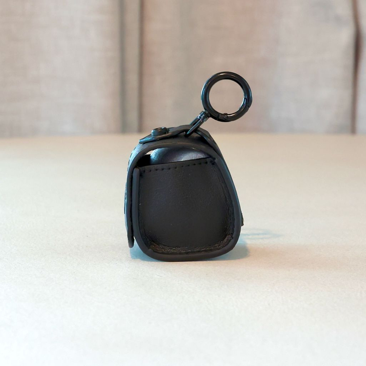 PXG 골프공 케이스 골프 파우치 이미지