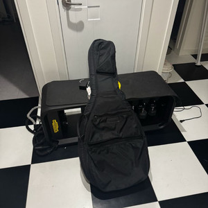 무라디언 통기타 케이스