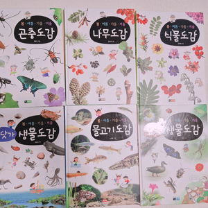 봄여름가을겨울곤충도감 비교도감