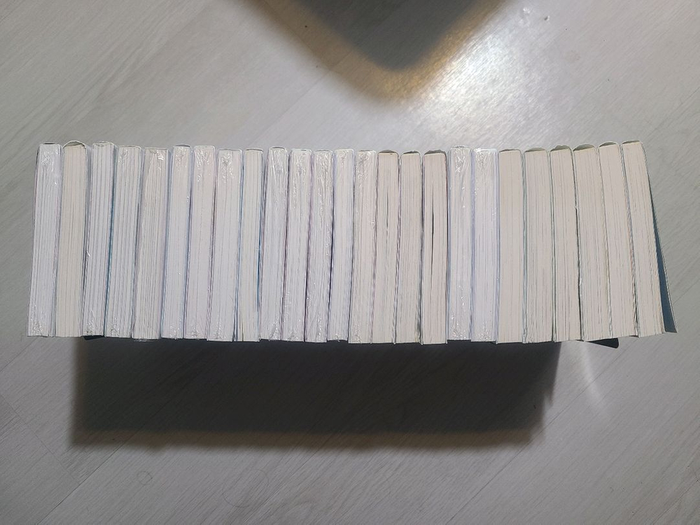 소설 이 멋진 세계에 축복을 1~17권,폭염을 1-3권, 요리미치, 저 어리석은 자에게도 각광을 1~3 (총 25)--1