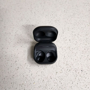 갤럭시 버즈2 프로 충전케이스 이미지