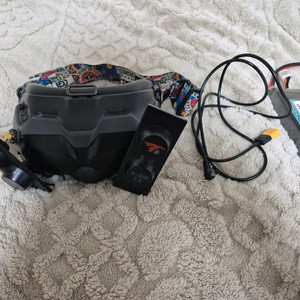 DJI FPV 고글 V2 급처